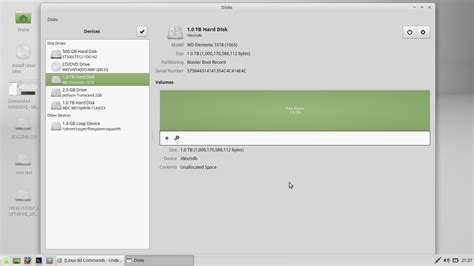 ubuntu clone all disks